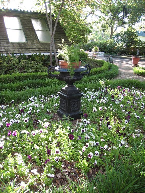 Belle Oaks Inn Gonzales Luaran gambar